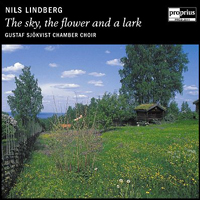 CD cover to The sky, the flower and a lark